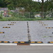 Tni parkstop