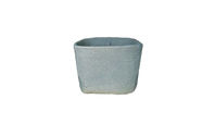 Cupcarree1